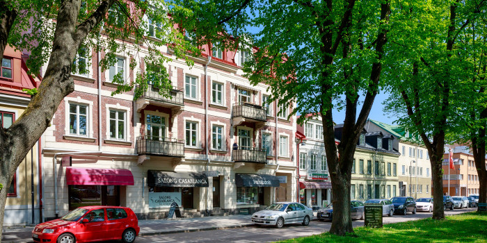 The property Duvan 7.