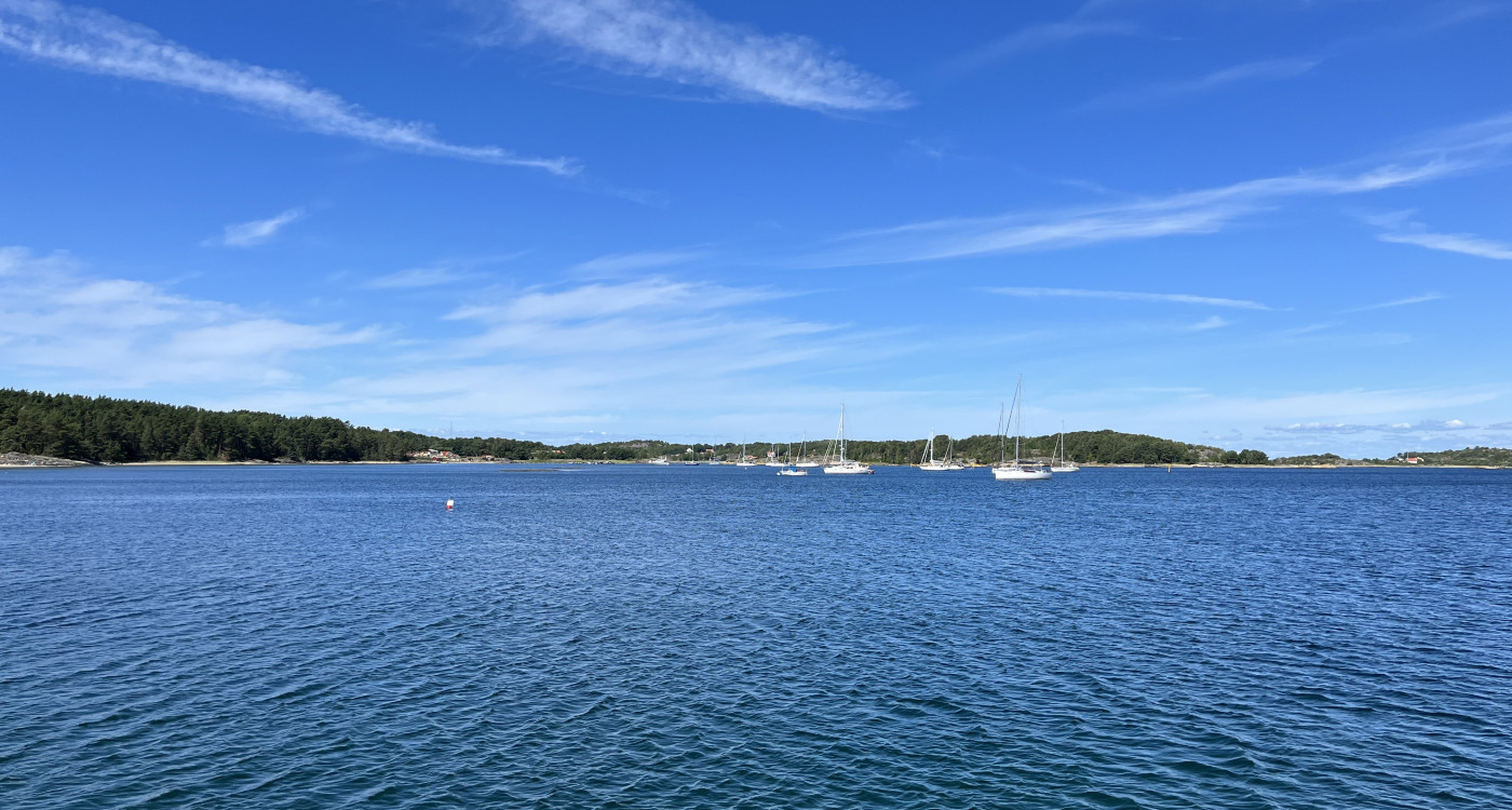 The newsletter will be back in full swing July 31st.